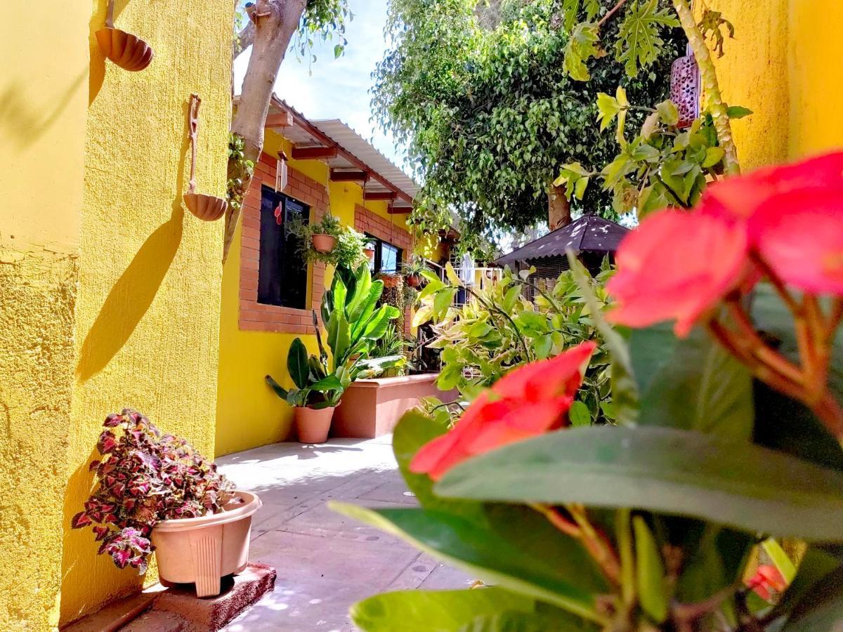 Apartmán Casa Caracoles La Paz Exteriér fotografie