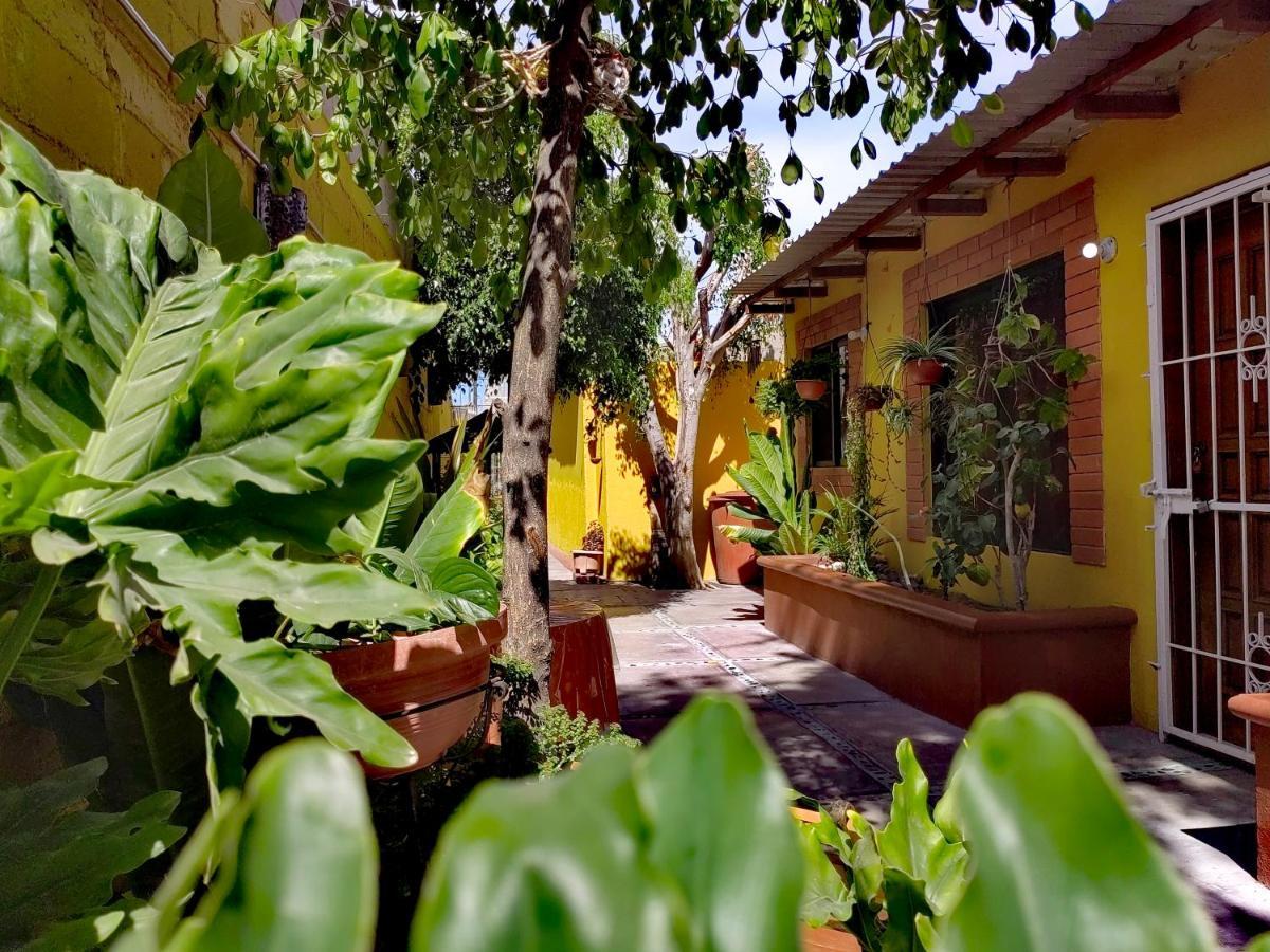 Apartmán Casa Caracoles La Paz Exteriér fotografie